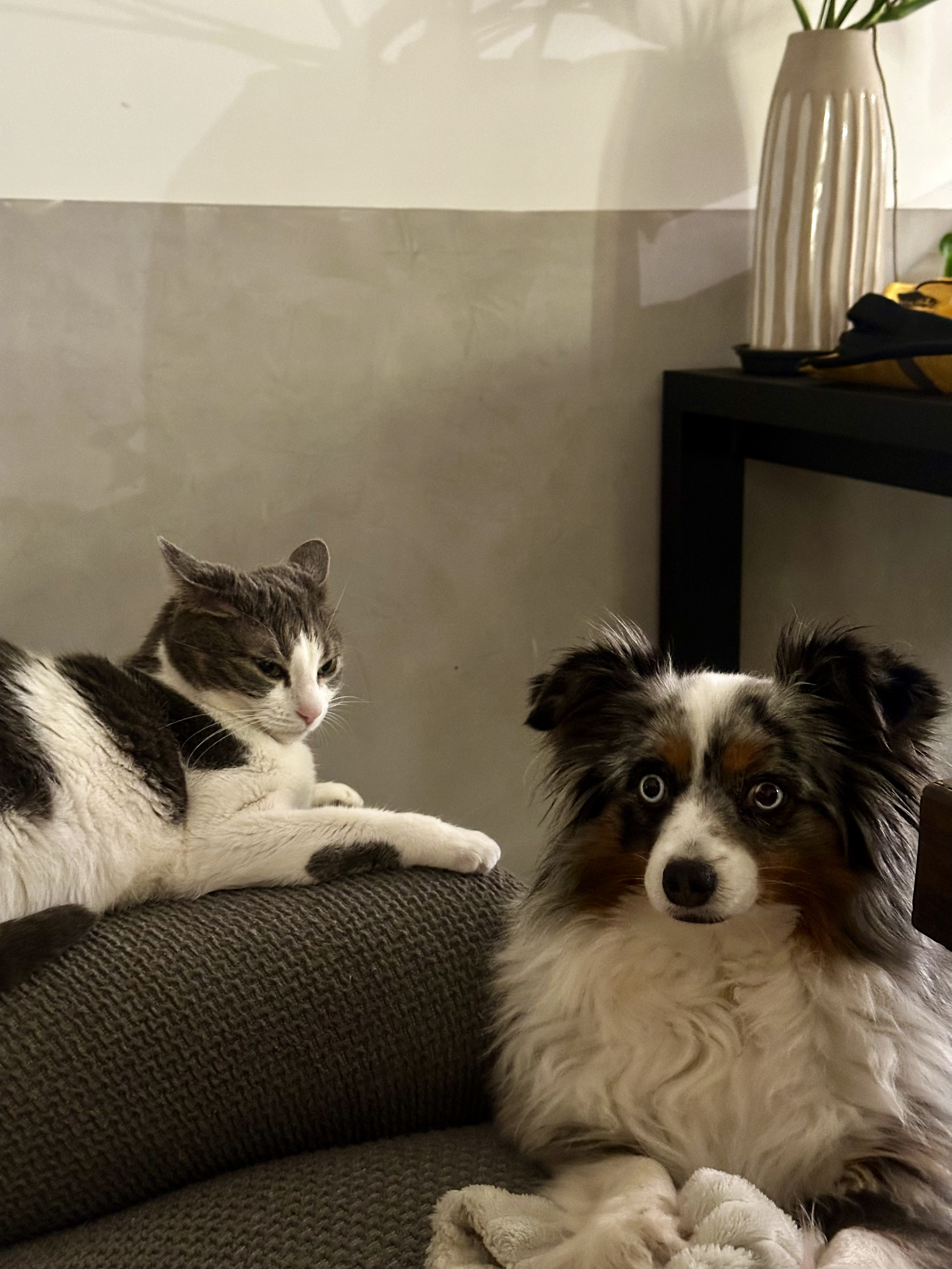 Pouh & Arya